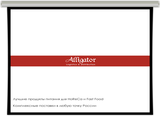 Презентация для компании «Аллигатор»